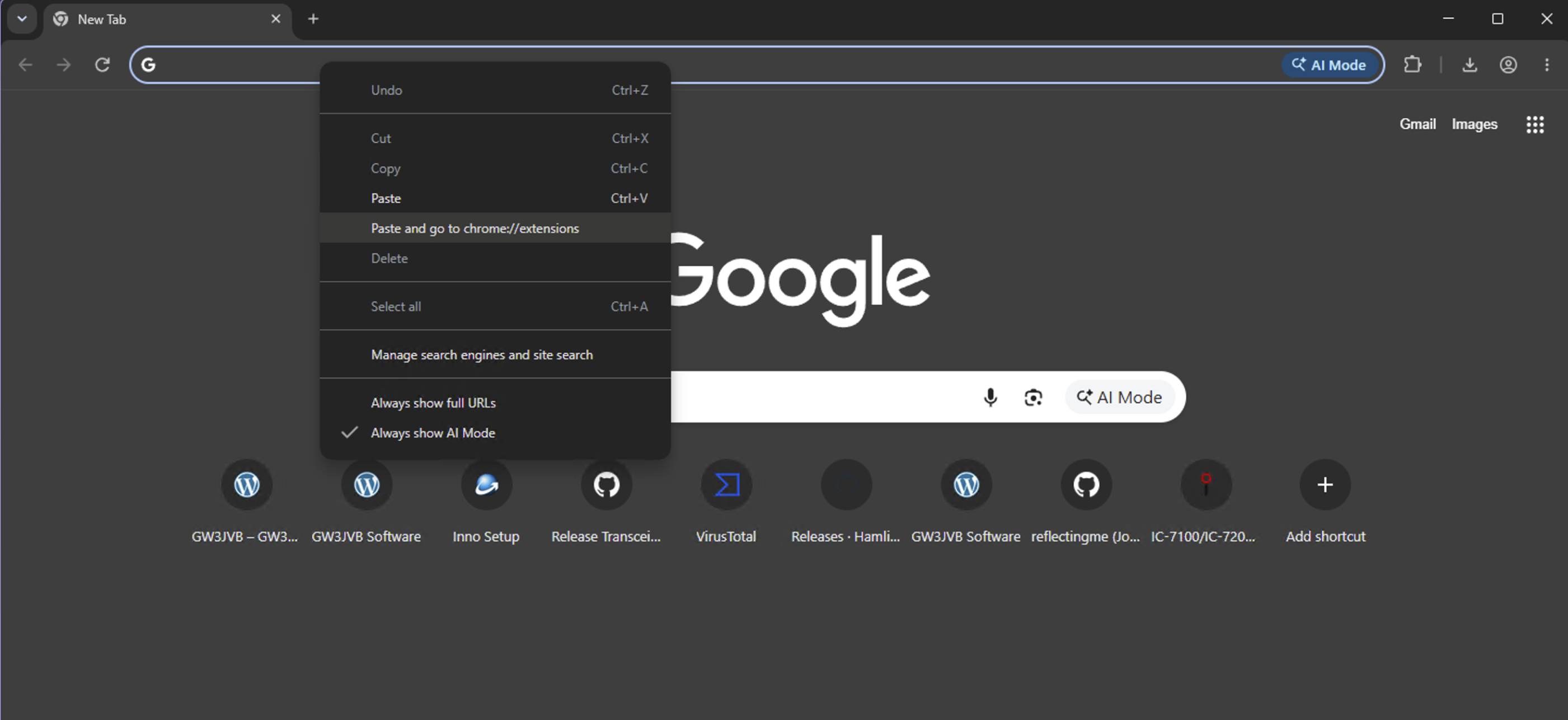 Pasting the copied extension folder path